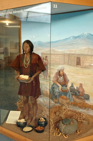 Museo Arqueolgico Padre Le Paige - San Pedro de Atacama