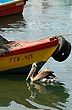 Postal del puerto en Talcahuano - Photo: Jorge Gonz�lez