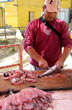 Gaviota en el mercado - Photo: Marcelo Sola