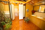 Caba&ntilde;as Aries