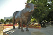 Tierra de la carne, Patria de la leche - Foto: Jorge Gonz�lez