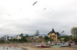Aves en Playa Chica - Photo: Marcelo Sola Aves en Playa Chica - Photo: Marcelo Sola
