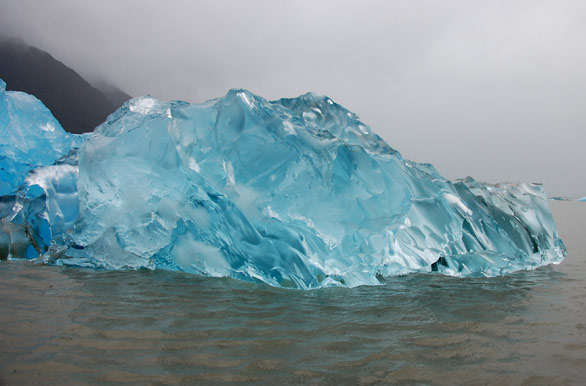 Sobreviviente de la poca glaciar pleistocenica - Puerto Aysn