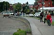 Lago Llanquihue - Photo: Mario Ptasik Lago Llanquihue - Photo: Mario Ptasik