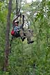 Volando por el bosque - Photo: Pablo Etchevers Volando por el bosque - Photo: Pablo Etchevers
