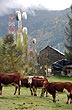 Comunicaci�n en Puyuhuapi - Foto: Eduardo Epifanio