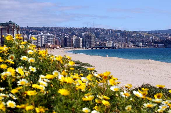 Flores, playa y ciudad... - Via del Mar