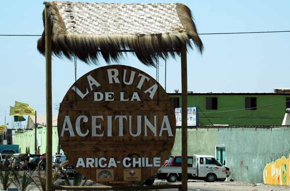 Ruta de la aceituna - Arica