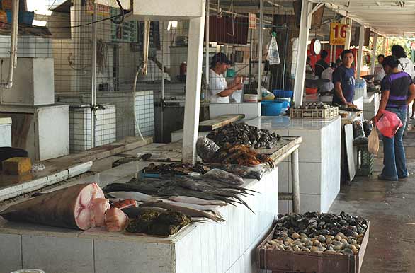 Mercado de frutos del mar - Arica