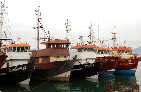 Barcos pesqueros - Coquimbo