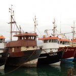 Barcos pesqueros