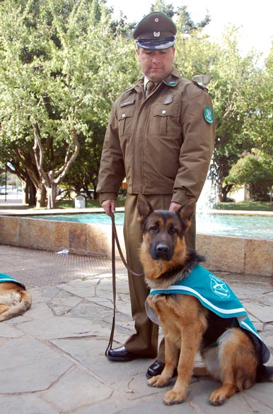 Carabineros 2 - Coyhaique