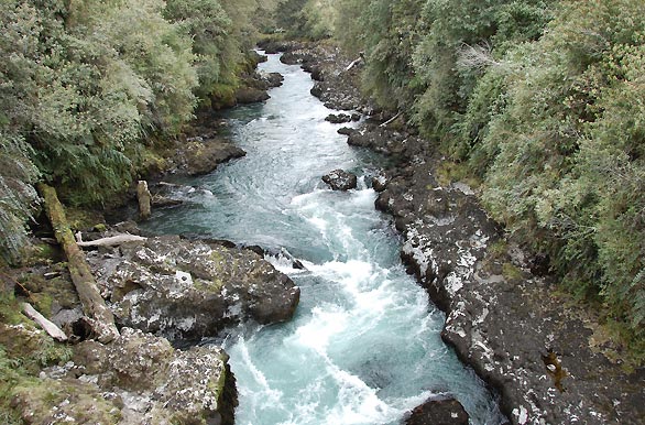Río Riñinahue - Futrono