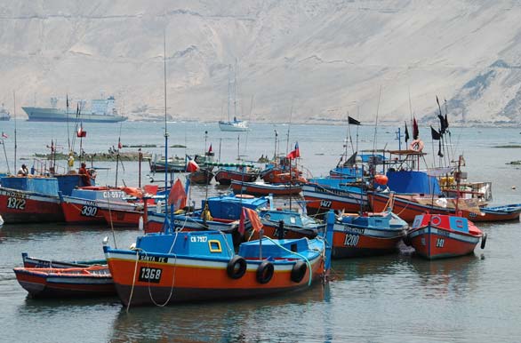 Puerto de pescadores - Iquique