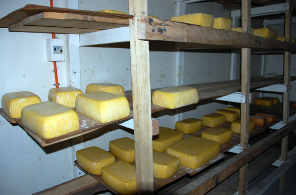 Cheese from the XI Region - La Junta