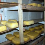 Cheese from the XI Region