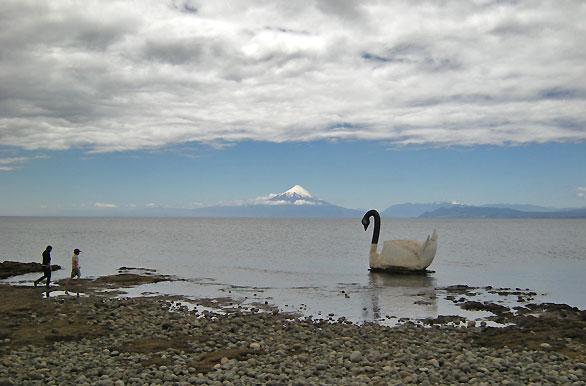 Lago Llanquihue y estatua de cisne de cuello negro - Llanquihue