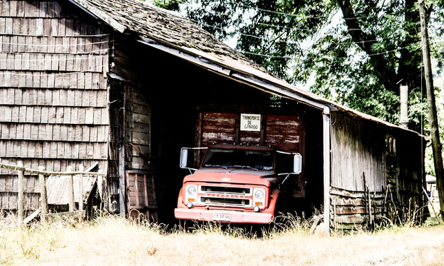 Transporte de ganado - Llanquihue
