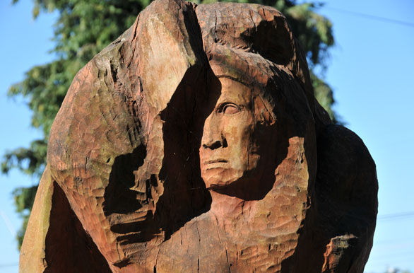 Roble de Francisco Muoz - Llanquihue