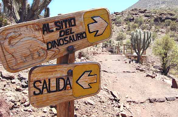 Sitio del dinosaurio - Ovalle