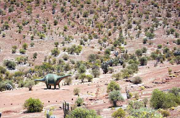 Sobre afloramiento de roca volcnica y sedimentaria. - Ovalle