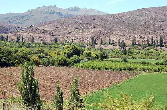 Colores magnticos en Samo Alto - Ovalle