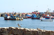 Puerto pesquero, Antofagasta - Foto: Pablo Etchevers
