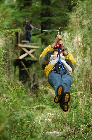 De rbol en rbol - Pucn