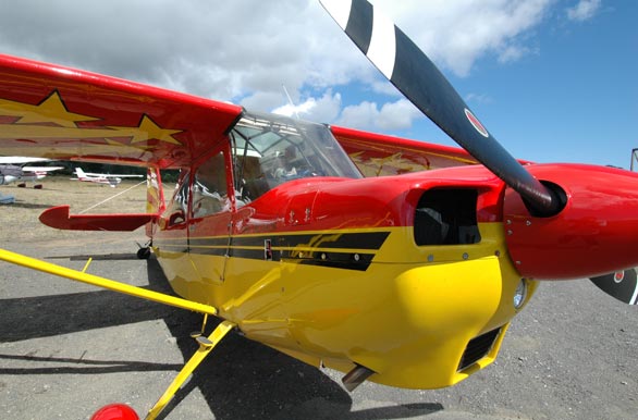 Avin acrobatico - Pucn