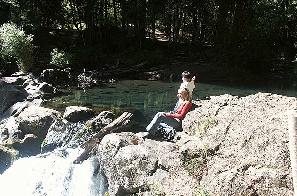 Ojos del Caburgua - Pucn