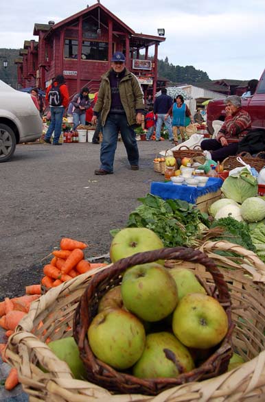 Frutas y verduras - Puerto Montt