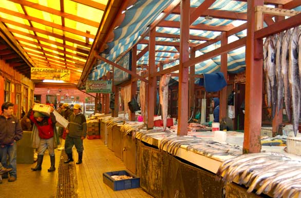 Mercado de mar - Puerto Montt