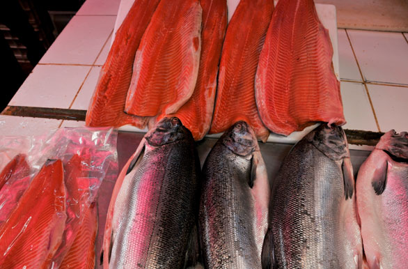 Salmones en Puerto Montt - Puerto Montt