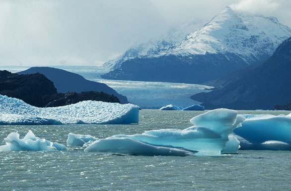 Glaciar Grey - Puerto Natales / Torres del Paine
