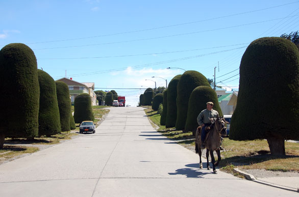 Calle típica de Puerto Porvenir - Porvenir