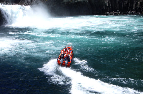 Domadores de los saltos - Puerto Varas