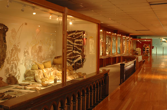 Museo Maggiorino Borgatello - Punta Arenas