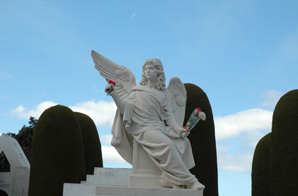 Cementerio local - Punta Arenas