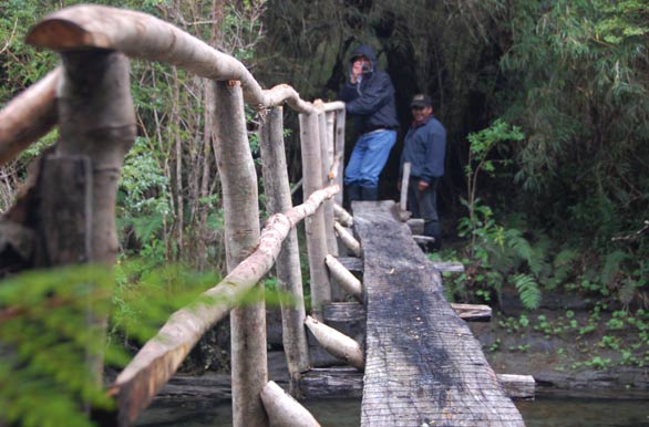 Los puentes del Ecolodge - Puyuhuapi