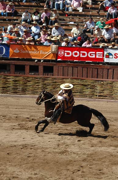 Destreza de monta - Rancagua