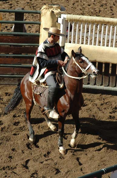 El huaso y su caballo - Rancagua
