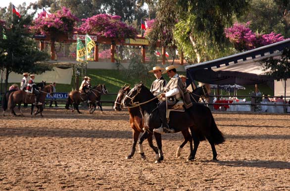 Antes del rodeo - Rancagua