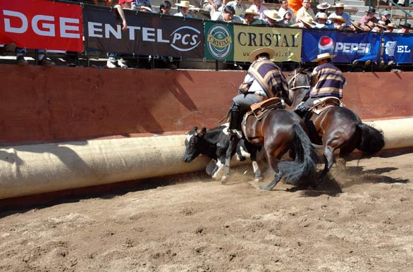 Atajadas, quinchas - Rancagua