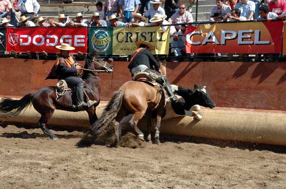 Puntos buenos... - Rancagua