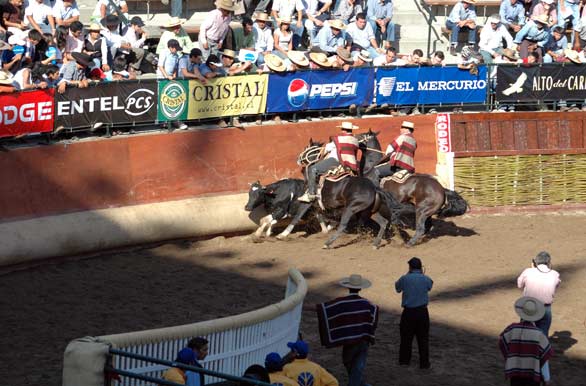 Champion de Chile - Rancagua