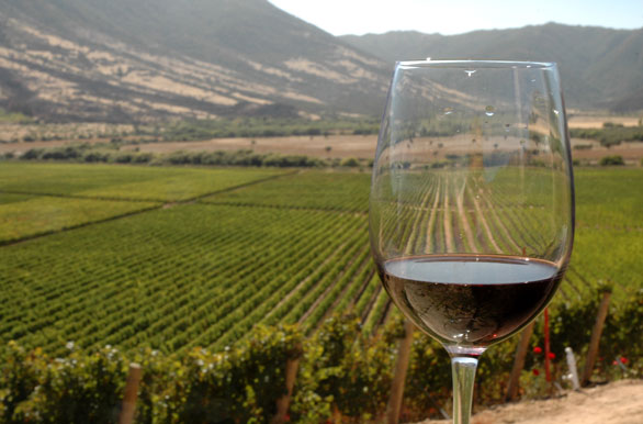 Vino y viedos, Santa Cruz - Rancagua