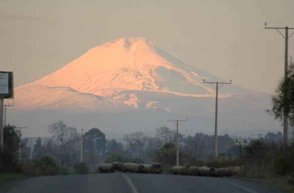 Volcán Llaima - Temuco