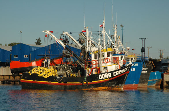 Barcos pesqueros - Valdivia