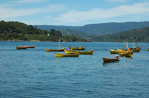 Barcos pesqueros - Valdivia