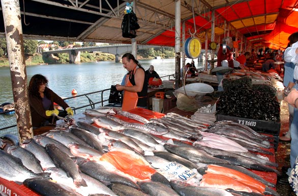 Pescado fresco, mercado fluvial - Valdivia